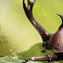 주식회사 티앤엘 이미지