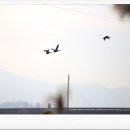 월성 빗물펌프장 이미지