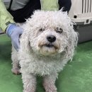 원화산로 이미지