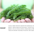 (주)대진엠에스