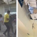 비둘기호텔 이미지