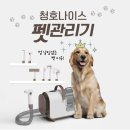 우리강아지 이미지