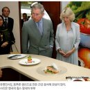 뇌에 좋은 성분? - DHA , DHEA ? 이미지