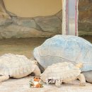 순천만국가정원 서문주차장 화장실 이미지