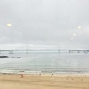 협성상회 | 비오는날 부산여행 북두칠성도서관 뚜벅스 광안점 밀락더타운