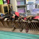 21세기 당구장 이미지