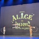 뮤지컬 이상한 나라의 앨리스 | 뮤지컬 : 이상한 나라의 앨리스 완다랜드