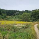 정시은부동산공인중개사사무소 이미지