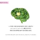 하이초도 이미지