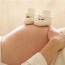 시림 이미지