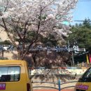 생각을키우는 유치원 이미지