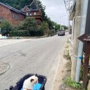 채담뜰식당 네이버블로그