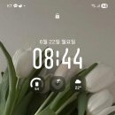 가고팜 | 6월 일상 돌아온 생일 주간