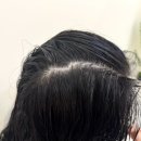 삼가동 | 삼가동 미용실 씨스팟헤어 see spot hair 두피 모발 클리닉 추천 후기