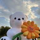 2024년 잠원한강공원 빛과 소리 축제 후기