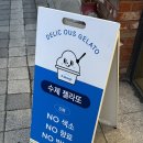 디스쿱 네이버블로그