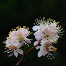 기억의 순간 이미지