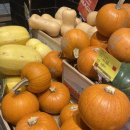 스튜디오 포미 이미지