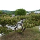 고기연구소 이미지