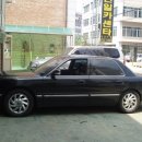 다이너스티 이미지