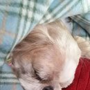 장하다농원