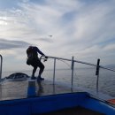 랑데뷰 민박 이미지