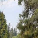 Whispering Pines Tent &amp; RV Park 이미지