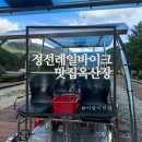 옥산장 | 정선레일바이크 예약 방법 소요시간 + 정선 맛집 곤드레 밥 옥산장 저녁식사 내 돈 내산 후기