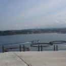 군산항국제여객선터미널 이미지