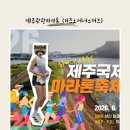 제주국제관광마라톤 10KM 후기 : 미즈노 러너스 허브