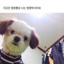 송도어반 이미지