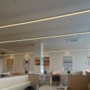 훼미리 | 일산 훼미리 돈까스 후기, 츠지요리전문학교 출신 셰프의 집