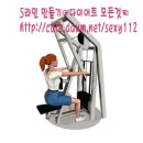 머신 릴 델트 로우 (Machine Rear Delt Row) 이미지