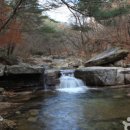 대야산자연휴양림 이미지