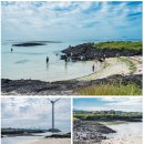 표선리-31 이미지