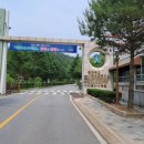 민들레미코 이미지