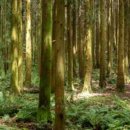 즐기며 배우는 부동산 이미지