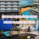 시티콘가족호텔제주 | 제주도 가족여행 숙소 파르나스 호텔 제주 조식 수영장 라운지 후기