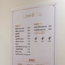 라인앤코