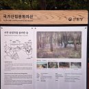 장항 무료경로식당 | 송림 자연휴양림, 장항 가볼만한 곳 1순위 추천 (주차장, 포토스팟)