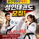 용인대 명성 태권도 네이버블로그