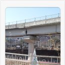 어정로1 이미지