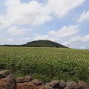 지티행정사사무소 이미지