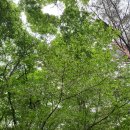 영도유치원 이미지