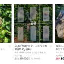 풍류민박