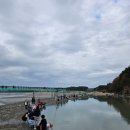 궁평항양념9호 | 궁평항 수산물직판장 '유람선이있는횟집' (feat. 대방어, 차크닉)