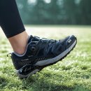 렉스플라이 이미지