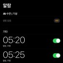 분당CAR병원