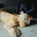 동경(180) 이미지