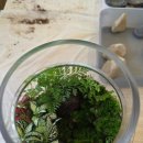 가촌초등학교 병설유치원 이미지